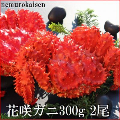 ふるさと納税 根室市 【北海道根室産】花咲ガニ300g×2尾 A-57060 | 