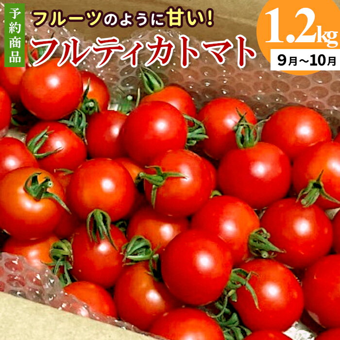 【ふるさと納税】《予約品》※2026年9月～10月発送★ フルティカトマト 1.2kg 令和8年度産 ※予約商品※ 割れ保障付 数量限定 高評価 トマト 中玉 野菜 人気 新鮮 産地直送 甘い 完熟 リコピン ビタミン 美容 美肌 ミニトマト 5000円 5,000円