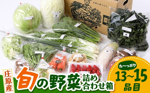 野菜セット 広島県庄原産「旬の野菜」詰め合わせ箱（13～15品目） やさい