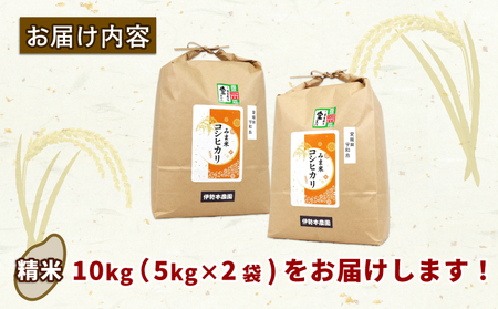 特別栽培米 新米 三間米 コシヒカリ 計10kg 5kg × 2袋 伊勢本農園 特別栽培 米 お米 おこめ ごはん こめ コメ ※ kome 白米 精米 お弁当 ブランド米 ふっくら ツヤツヤ ライス