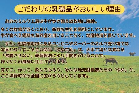 おおのミルク村 のむヨーグルト750ml×6本  