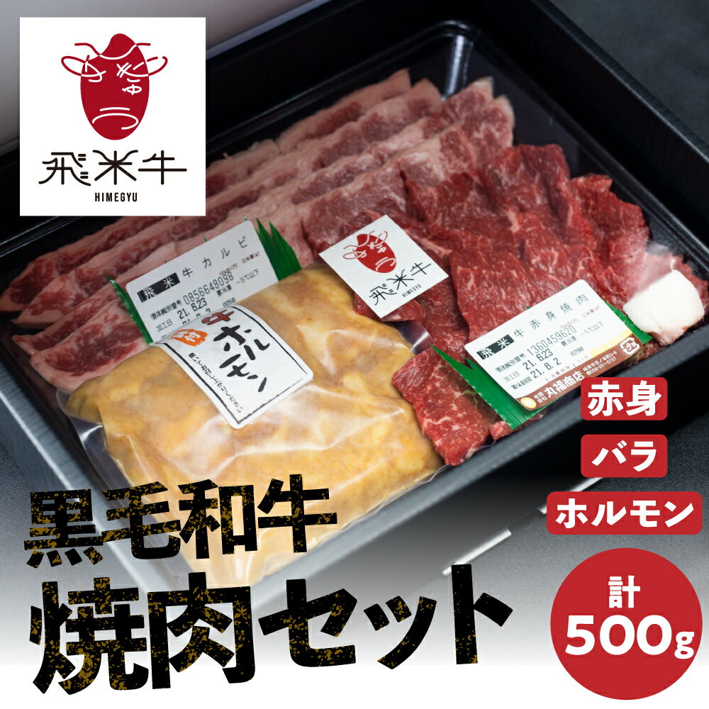 【ふるさと納税】《簡易包装》飛米牛 ひめぎゅう 焼肉セット（合計500g）赤身・バラ肉 各150g　味付けホルモン200g　焼肉 BBQ バーベキュー