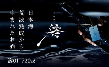 【ふるさと納税】【限定醸造】日本海の荒波が育んだ 海底熟成日本酒「濤〈TOU〉 01」（720ml）お酒 16度 希少品 限定 新潟 上越 ギフト 贈答 化粧箱入り 送料無料 シリアルあり 【チタン製おちょこ付】
