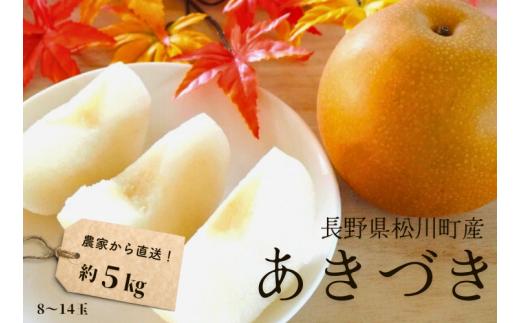 KW11-25A 梨 あきづき 約5kg（8～14玉）松川町産 贈答 ／9月下旬頃～配送予定 // 長野県 南信州 松川町 和梨 梨 なし ナシ 約5㎏ あきづき 産地直送 農家直送 農家支援 贈答 果物 フルーツ