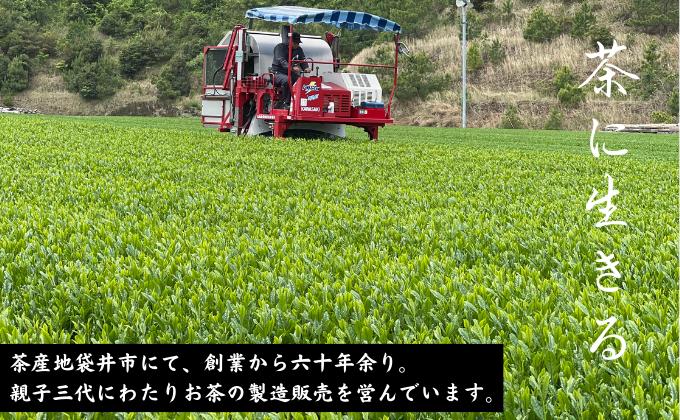 本格深蒸し新茶ティーバッグ大袋（5ｇ×35個入）