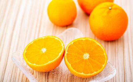 2025年 屋久島産たんかん 家庭用 訳あり 約5kg(S～2Lサイズ・少々キズあり)＜先行予約／数量限定＞【 たんかん】