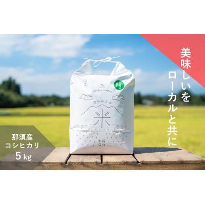 ふるさと納税 那須町 那須産 コシヒカリ5kg ≪白米≫〔B-90〕