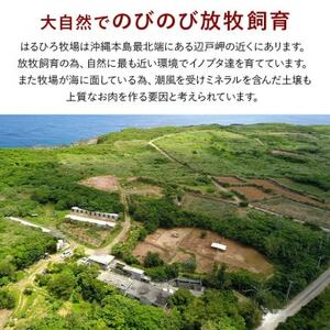 国頭イノブタ ロース(ブロック) 1kg【配送不可地域：離島】【1580290】