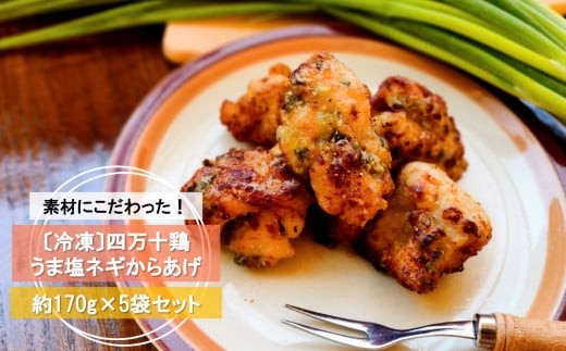 
                  四万十鶏 からあげ (170g×5袋) うま塩 ネギ から揚げ 唐揚げ から揚げ からあげ 唐揚 おつまみ 鶏肉 天日塩 塩 簡単調理 冷凍 冷凍食品 ご飯のお供 レンジ 惣菜 おかず グルテンフリー 高知県 黒潮町 [1613]
                