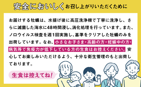 牡蠣 先行予約 殻付き 牡蠣 8個 【 三陸産 旬 産地直送 おためし 】