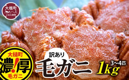 【令和9年発送先行予約】【訳あり】三陸産！活毛ガニ 1kg(3～4杯)【08】【2027年2月～4月発送】