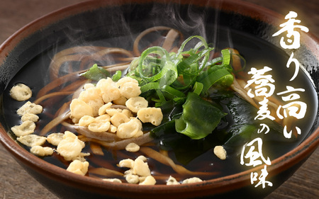 若狭越前そば4人前 1パック250g（めん100g×2、つゆ25g×2）× 2パック 【そば 蕎麦 ソバ 麺類 小分け 使いやすい】 [m04-a009]