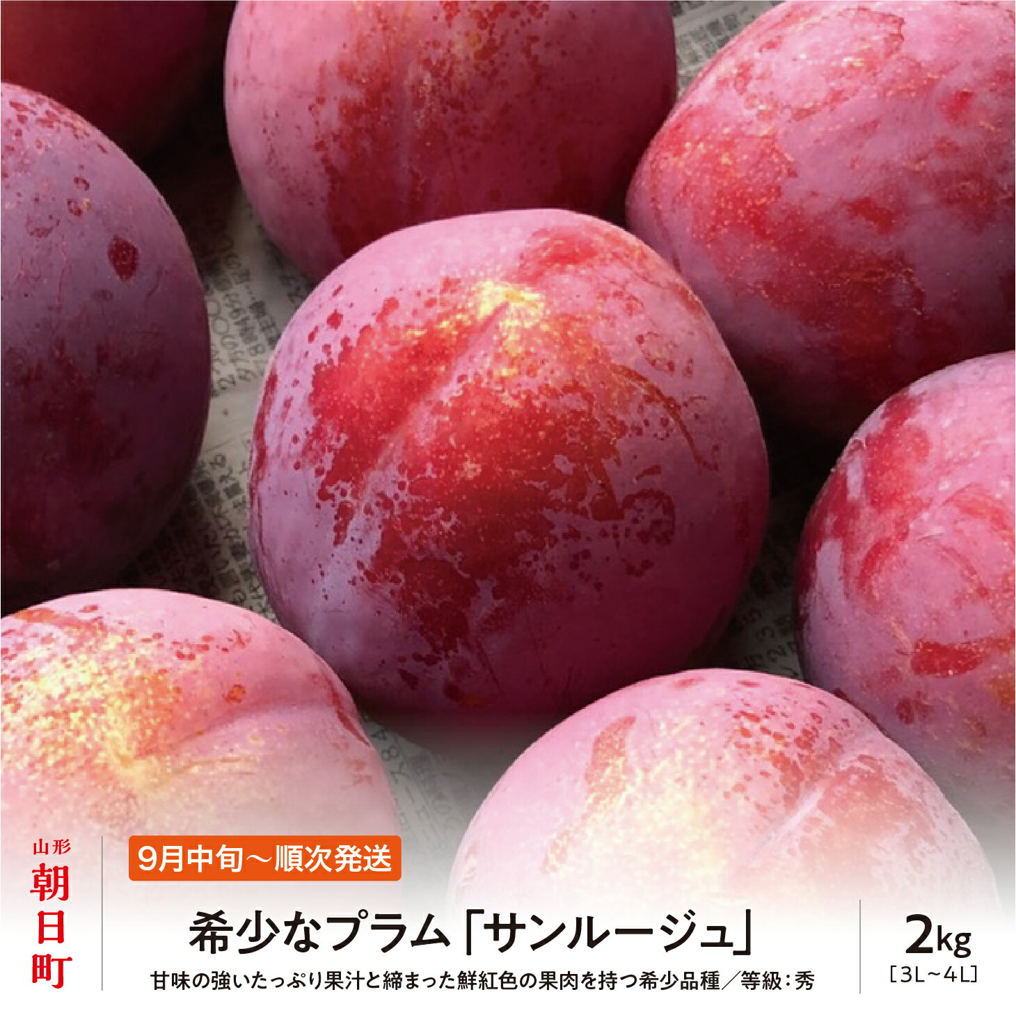 【ふるさと納税】プラム サンルージュ 2kg 大玉 3L～4L 秀品 化粧詰め 山形県 朝日町産 山形産 すもも スモモ フルーツ 果物 秋 送料無料