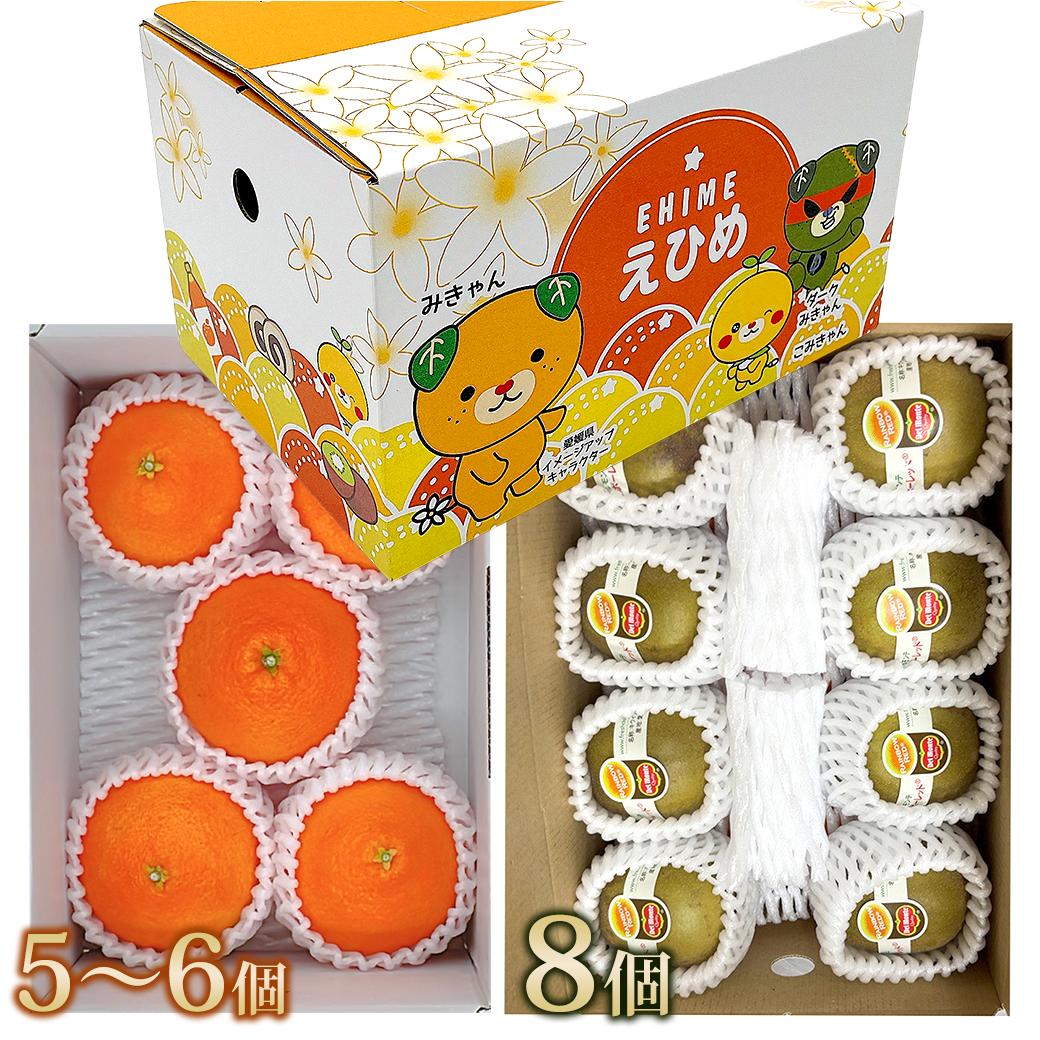 2Ｌサイズ5個入りの場合