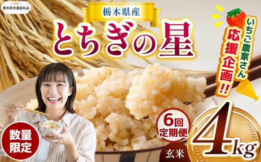 【栃木県共通返礼品】【先行予約】【定期6回】訳あり 令和8年度産 数量 限定 栃木県産 とちぎの星 約4kg | 定期便 とちぎの星 数量限定 玄米 米 ごはん kome okome ご飯 お米 米 日本米  玄米密閉パック ふるさと納税 那珂川町 栃木県 送料無料