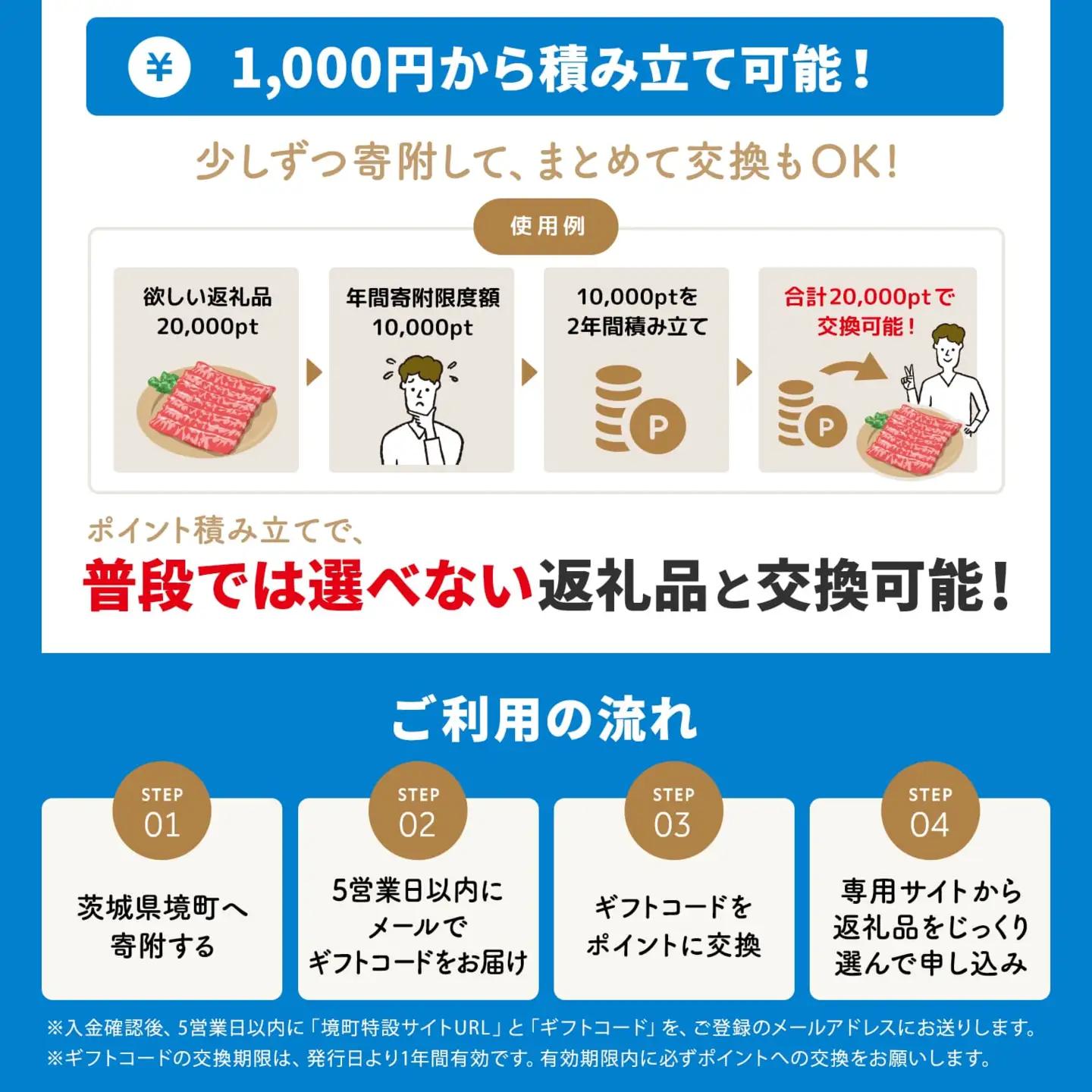 【あとから選べるカタログ】寄附100,000円(30,000円分ポイント)800品以上！あとからセレクト