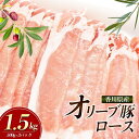 【ふるさと納税】香川県産オリーブ豚　1500g　小分け（500g×3）「5月発送または8月発送または11月発送」　 お肉 豚肉 ロース しゃぶしゃぶ オリーブ 香川県産 赤身 うま味 さっぱり 料理 美味しい スライス 　お届け：2024年5月6日～2024年11月30日