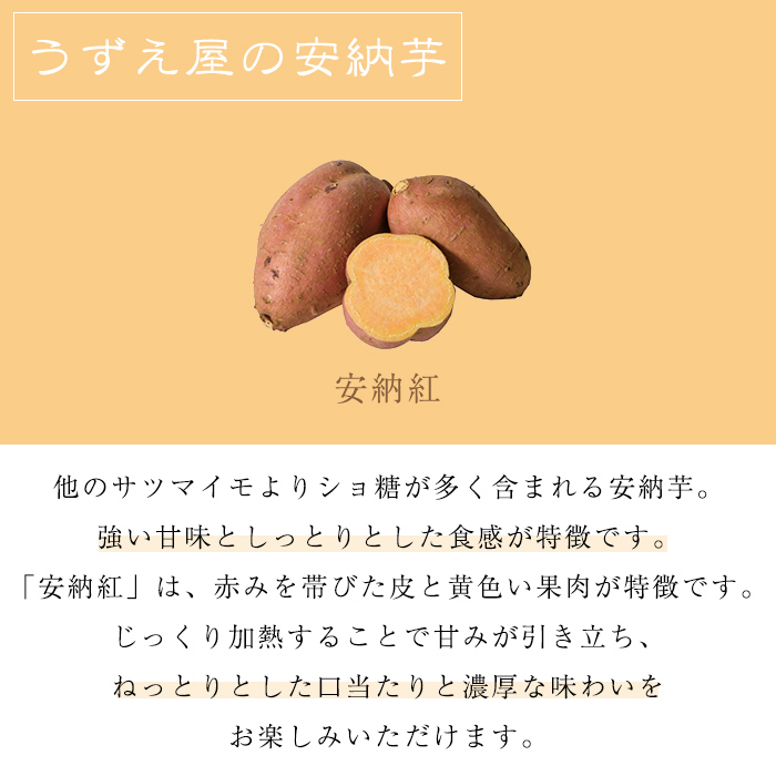 n481 先行予約受付中！10月下旬頃から11月初旬頃より順次発送予定 種子島産 安納芋＜紅＞(11kg) 国産 安納芋 紅 種子島 芋 イモ さつま芋 安納いも 野菜 焼き芋 焼芋 【うずえ屋】