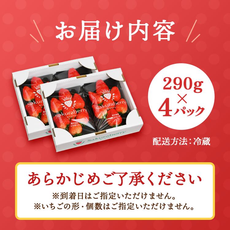 〈数量限定〉【先行予約】さくら市産イチゴ（とちあいか）290g×4パック【先行予約 栃木県 果物 くだもの フルーツ 苺 いちご】 ※2025年12月下旬～2026年3月下旬頃に順次発送予定_イメージ