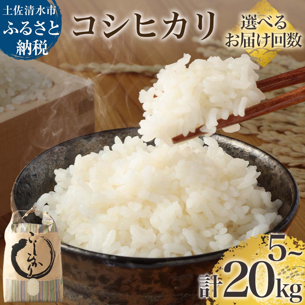 【ふるさと納税】令和7年産 コシヒカリ 精米 選べる内容量 お届け回数 白米 お米 ご飯 ごはん 米 kome こめ こしひかり 高知県産 5kg 10kg 15kg 20kg ふるさと納税 高知 米 美味しい おいしい 定期便 3ヶ月 5ヶ月 故郷納税 高知 土佐清水市【R01408】