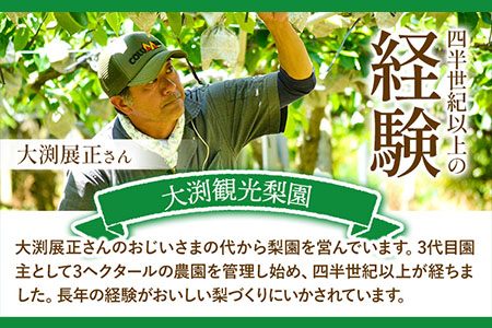 梨 完熟梨 ( あきづき 新高梨 新興梨 のいずれか) フルーツ 果物 旬 期間限定 梨 約4.5~5kg (8～18玉) 熊本県長洲町産 《9月上旬-12月中旬頃出荷》大渕観光梨園 