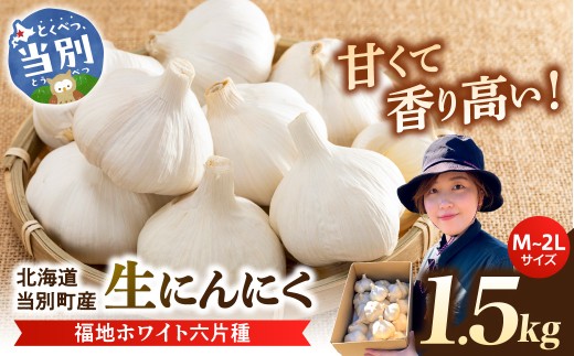 【令和9年度先行受付】生にんにく（福地ホワイト六片種）1.5kg（15個～25個程度） にんにく ニンニク 生にんにく 国産にんにく 北海道にんにく