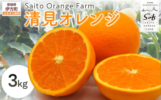 Saito Orange Farmの清見オレンジ3kg（2026年3月中旬頃より順次発送） 【 ふるさと納税 人気 おすすめ ランキング みかん ミカン 蜜柑 柑橘 清見 オレンジ 清見オレンジ フルーツ 果物 産地直送 西宇和 Saito Orange Farm 愛媛県産 愛媛県 伊方町 送料無料 】 IKTAQ006