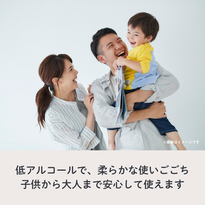 除菌ウェットティッシュ (大判サイズ)