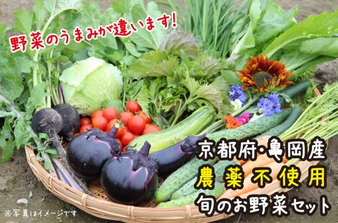 京都府・亀岡産 無農薬・自然栽培で育てた体も心も喜ぶ、かたもとオーガニックファームの季節のお野菜セット　10～20品目　≪産地直送　朝採れ　新鮮　京野菜≫