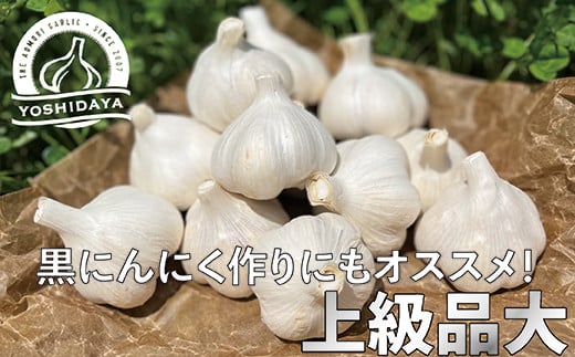 にんにくのよしだ家 青森県産 にんにく 大サイズ 800g 【2024年産】 福地ホワイト種 にんにく 青森県 にんにく 三戸町 H2909