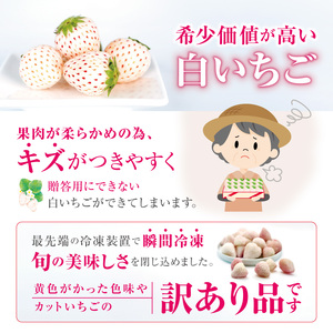 訳あり 冷凍 白いちご Linda Lindo 1袋 500g | 岐阜県 北方町