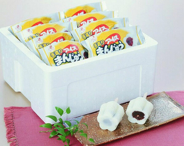 【配達地域限定】手造りアイスまんじゅう20個【1101701】