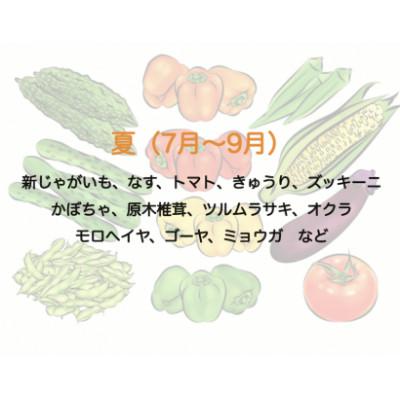 ふるさと納税 南伊豆町 湯の花 旬の野菜セット 10〜13品 |  | 02
