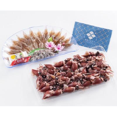 ふるさと納税 富山県 ほたるいか　ボイル&amp;刺身・素干しセット