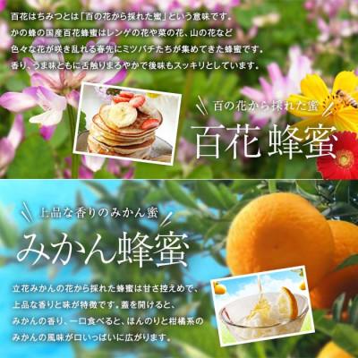 ふるさと納税 八女市 かの蜂の国産蜂蜜 4種セット とんがりポリ容器 2kg(500g×4) |  | 01