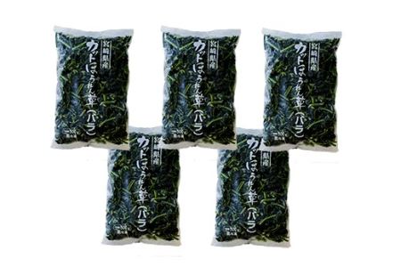 国産『冷凍ほうれん草』2.5kg(500g×5袋)  グローバルGAP取得の法蓮草 時短調理につながる冷凍カット野菜(宮崎県産) [時短料理 日本産 九州産 ISO22000] 特番477