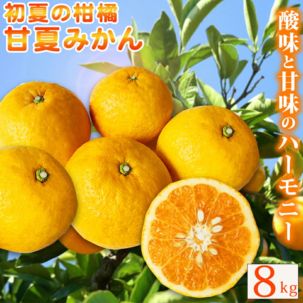 【ふるさと納税】【ご家庭用訳あり】紀州有田産 すっきり爽やか 甘夏みかん 8kg ※2026年3月上旬頃〜2026年3月下旬頃に順次発送予定（日時指定不可） / 甘夏 あまなつ みかん ミカン 蜜柑 温州みかん 柑橘 フルーツ 果物 くだもの 和歌山