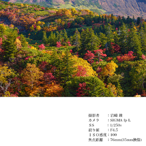 SIGMA 18-50mm F2.8 DC DN｜Contemporary【Lマウント】