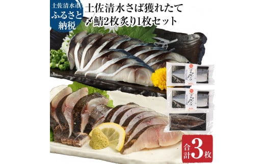 獲れたて土佐の清水さば 〆鯖2枚＆炙り〆鯖1枚セット（ブランドゴマサバ・1枚あたり約170g～210g）合計3枚 刺身 フィレ 切り身 骨なし おつまみ さば サバ 鯖 魚介類 高知県 土佐清水市【R00457】