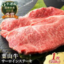 【ふるさと納税】国産 和牛 A5ランク 葉山牛 サーロインステーキ 計250g ( 250g × 1枚 ) A5 黒毛和牛 牛肉 250グラム サーロイン ステーキ 冷凍 人気 おすすめ 赤身 肉 【葉山牛ステーキレストラン 角車】[ASBD016]