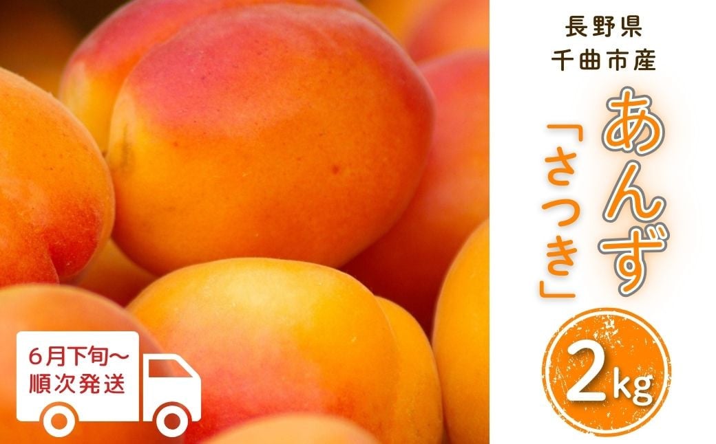 
            【2026年先行予約】あんず さつき(長野県オリジナル品種) 約2kg 杏子 アプリコット 長野県産 千曲市  信州
          