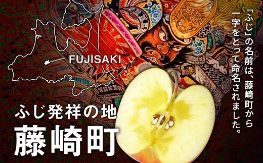 【先行予約】≪定期便≫産地直送　葉とらずサンふじ　訳あり　約2kg 合計4回【グランドアップル】 青森りんご 林檎 リンゴ 訳アリ わけあり ワケアリ ご家庭用 規格外 葉取らずりんご 発祥の地 果物