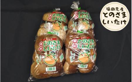 とのさましいたけ(生しいたけ) 1kg (250g×4袋) 福田農産株式会社五泉工場