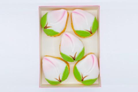 【期間限定発送】長崎縁起菓子 桃カステラ 5個 [雪屋菓子舗 長崎県 雲仙市 item1634] 桃カステラ カステラ 節句 お祝い