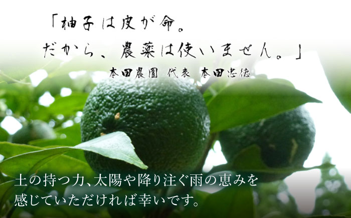 【全12回定期便】ゆず丸搾り 200ml 2本 柚子 熊本 山都町【本田農園】[YDL041]