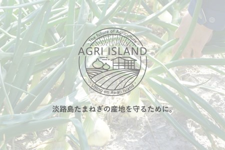 【アグリアイランド】【新玉予約】淡路島新たまねぎアグリ玉３kg  ◆配送３月下旬～