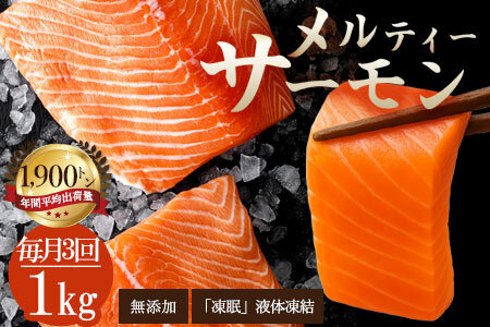 毎月お届け3回 サーモン メルティーサーモン アトランティックサーモン 1kg 合計3kg
