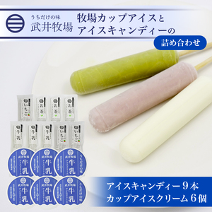 アイスクリーム カップ 6個 アイスキャンディー 3種 計9本 セット 武井 牧場 自家製 牛乳 いちご お茶 ｱｲｽｸﾘｰﾑ ｱｲｽｸﾘｰﾑ ｱｲｽｸﾘｰﾑ ｱｲｽｸﾘｰﾑ