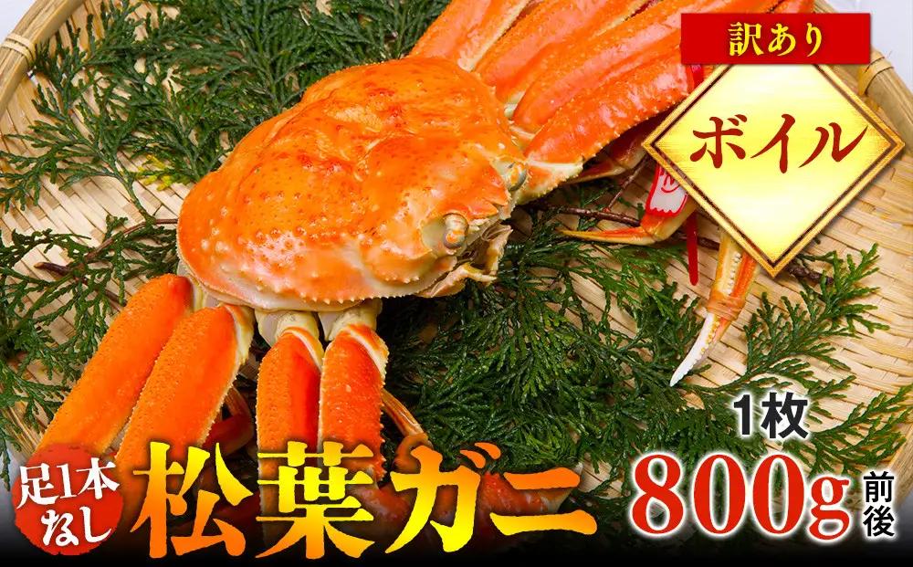 【ボイル】足1本なし 訳あり 松葉ガニ 大1枚（800g前後）| カニ 松葉ガニ タグ付き【着日指定不可】※2026年11月上旬～2027年3月下旬頃に順次発送予定