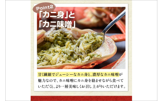 【蟹の匠 魚政】京丹後市産 未冷凍 茹で間人ガニ大善ガニ 特撰 特大サイズ（1200～1300g） 2匹（1月～3月発送）　UO01403